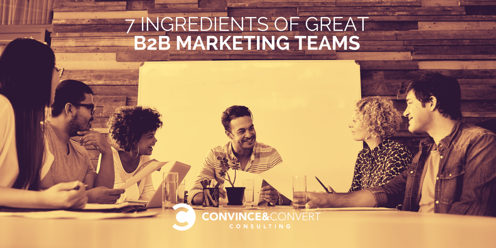 7 Ingredients of Great B2B Marketing Teams