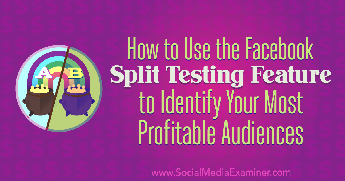 How to Use the Facebook Split Testing Feature to Identify Your Most Profitable Audiences