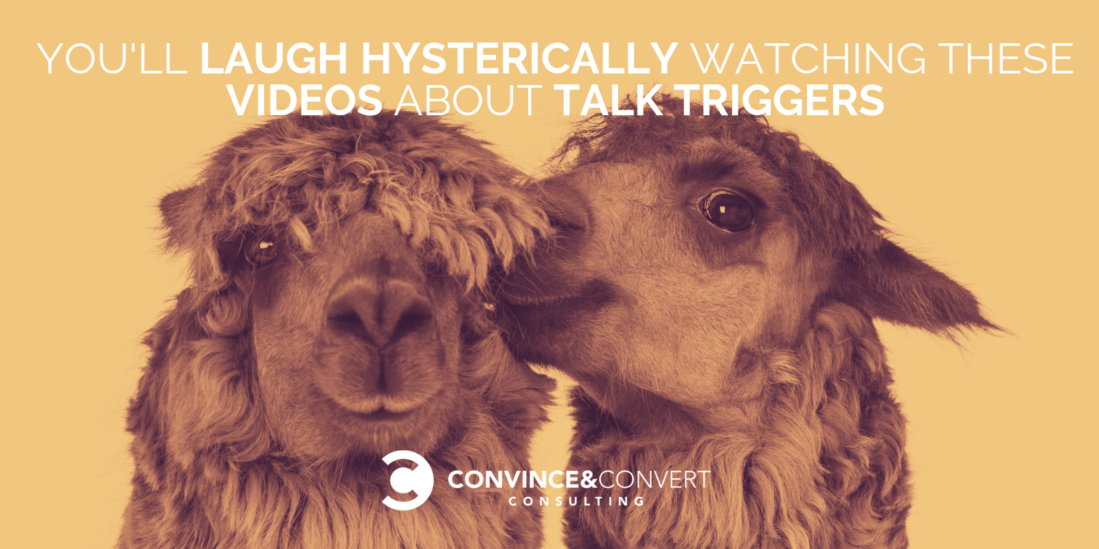 You’ll Laugh Hysterically Watching These Videos About Talk Triggers