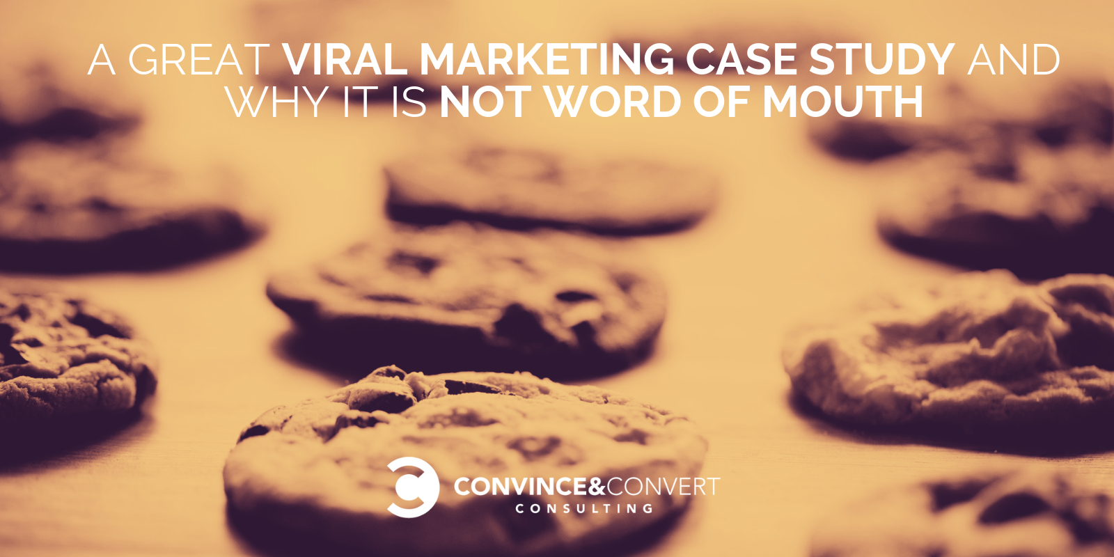 A Great Viral Marketing Case Study and Why it is not a Word of Mouth Strategy