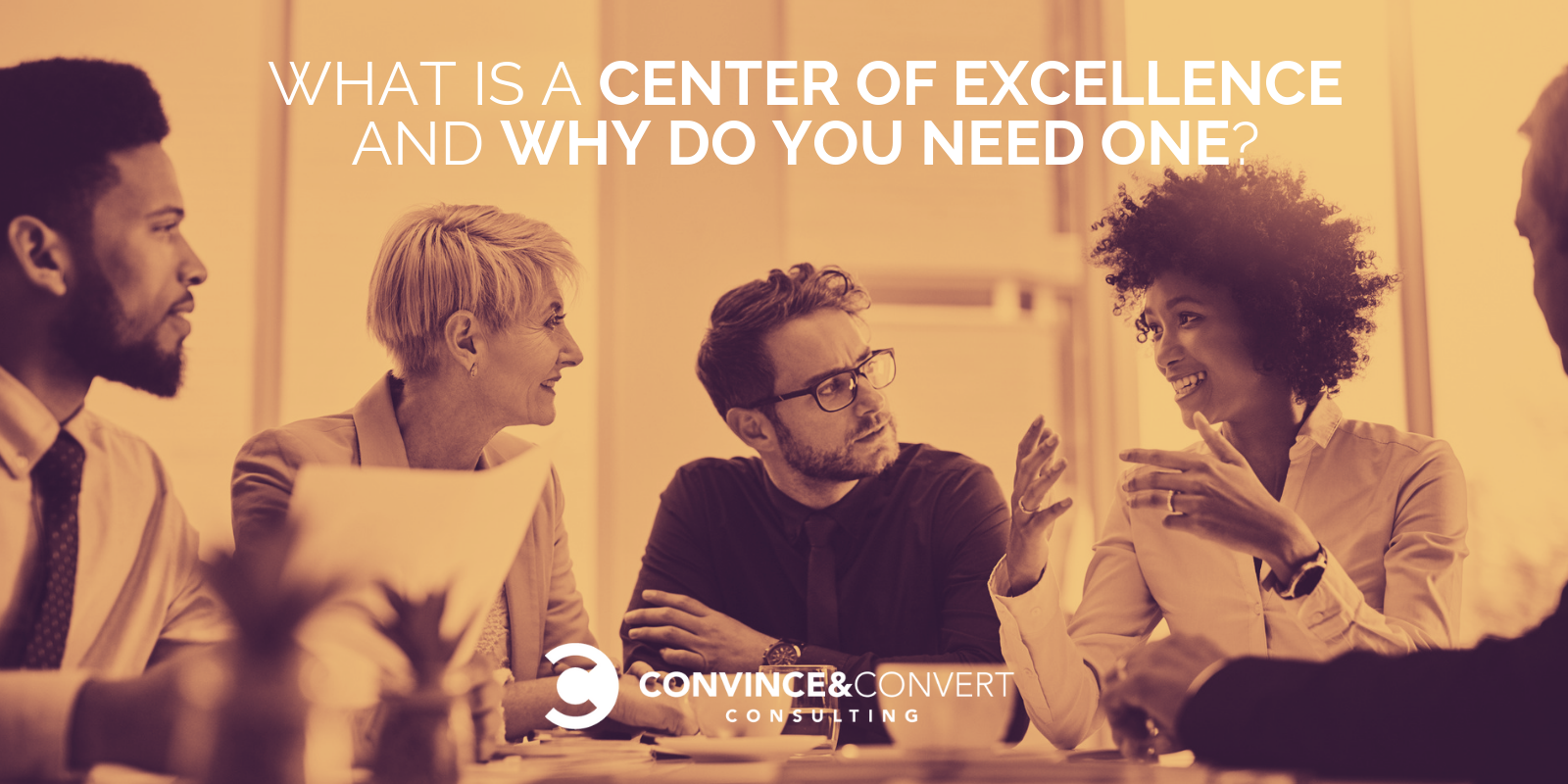 What Is a Center of Excellence and Why Do You Need One?