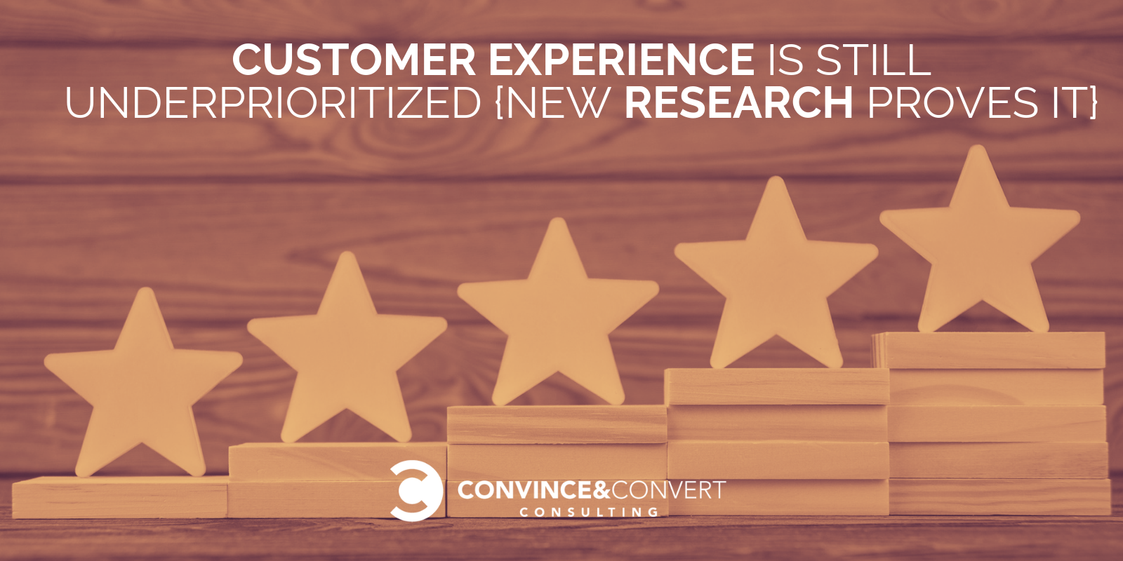 Customer Experience Is STILL Underprioritized {New Research Proves It}