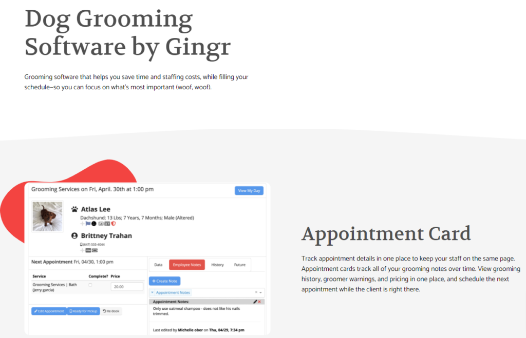 How to Start a Dog Grooming Business