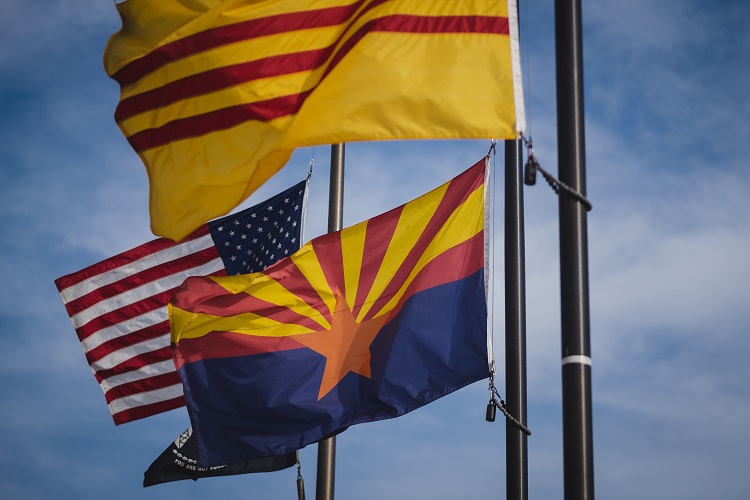 How to Start an LLC in Arizona