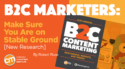 B2C Marketers: Make Sure You Are on Stable Ground [New Research]
